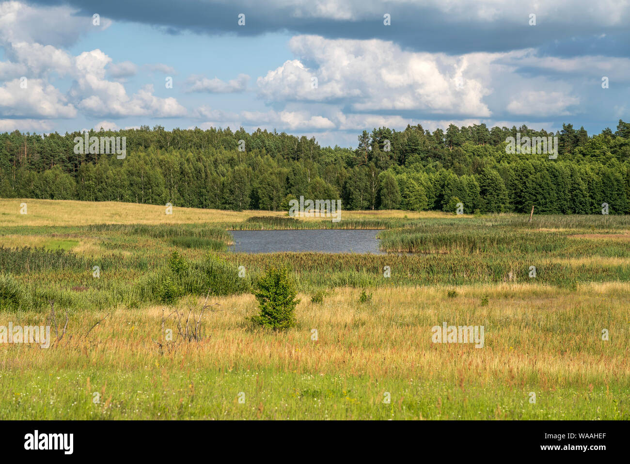 Landschaft im UNESCO Biosphärenreservat Masurische Seen bei Luknajno, Ermland-Masuren, Polen, Europa |  Landscape at the UNESCO biosphere reserve Masu Stock Photo