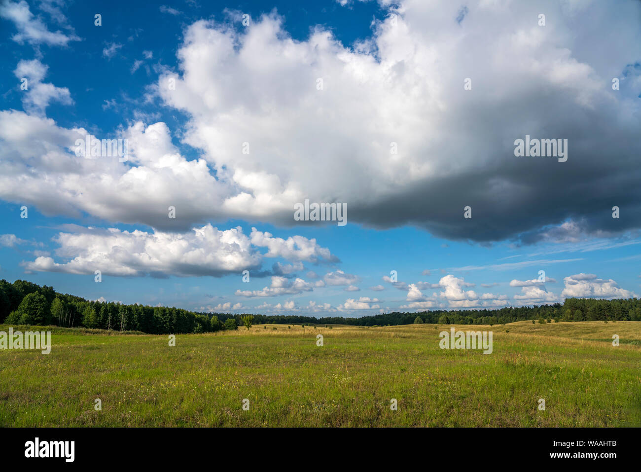 Landschaft im UNESCO Biosphärenreservat Masurische Seen bei Luknajno, Ermland-Masuren, Polen, Europa |  Landscape at the UNESCO biosphere reserve Masu Stock Photo