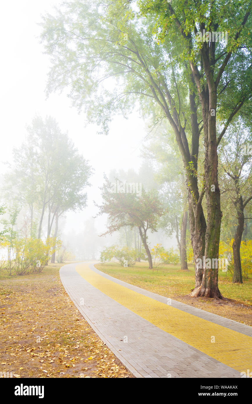 Park alley in the fog in autumn Stock Photo - Alamy