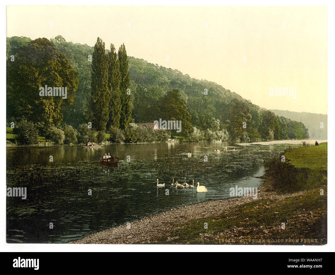 Cliveden Woods, from ferry, England; Forms part of: Views of the British Isles, in the Photochrom print collection.; More information about the Photochrom Print Collection is available at http://hdl.loc.gov/loc.pnp/pp.pgz; Title in the Detroit Publishing Co., Catalogue J-foreign section, Detroit, Mich. : Detroit Publishing Company, 1905: Cliveden Woods, from ferry, London and suburbs, England.; Title devised by Library staff.; Print no. 10642. Stock Photo