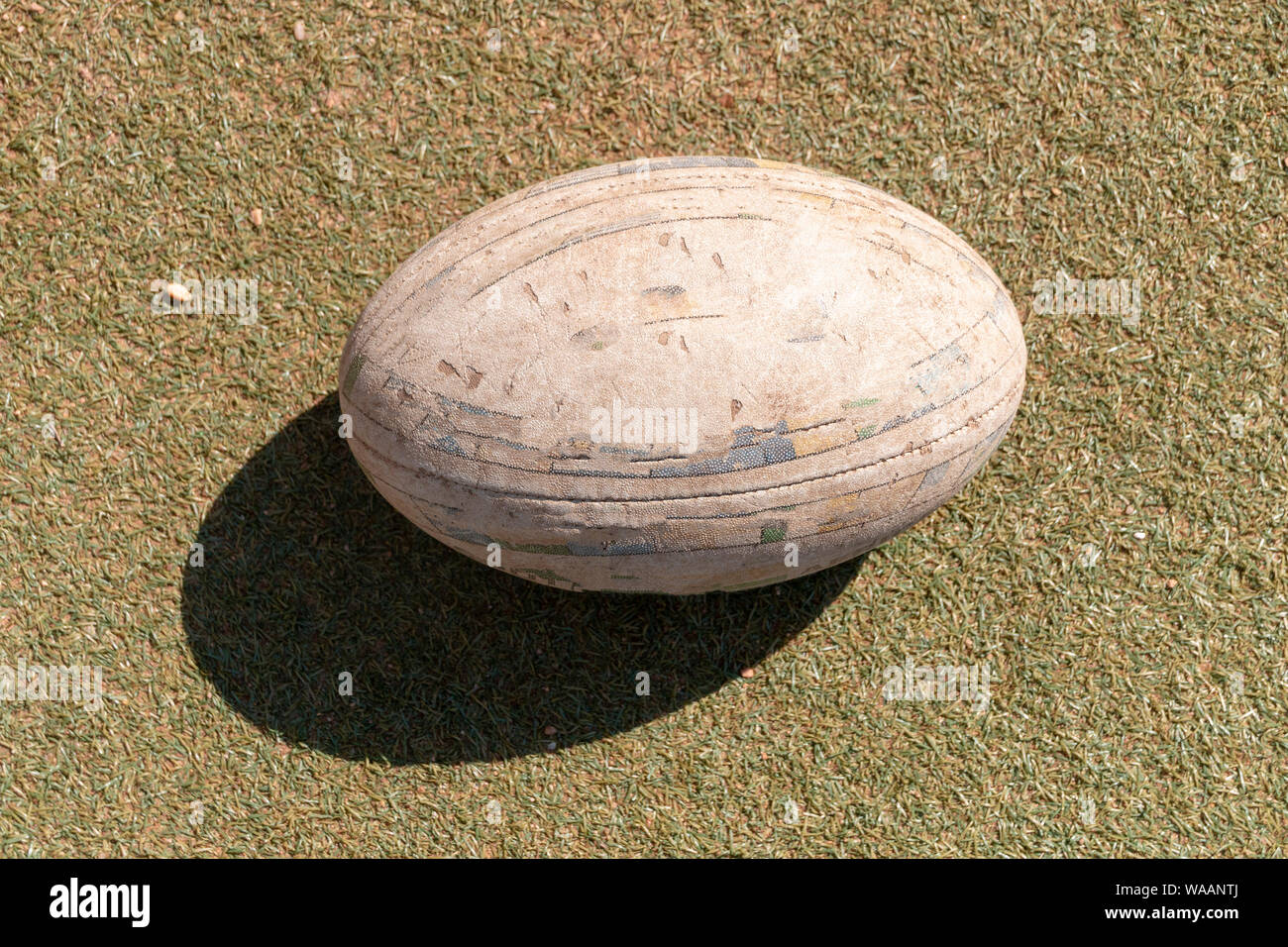 A close up side view of rugby ball on a green grass background Stock Photo