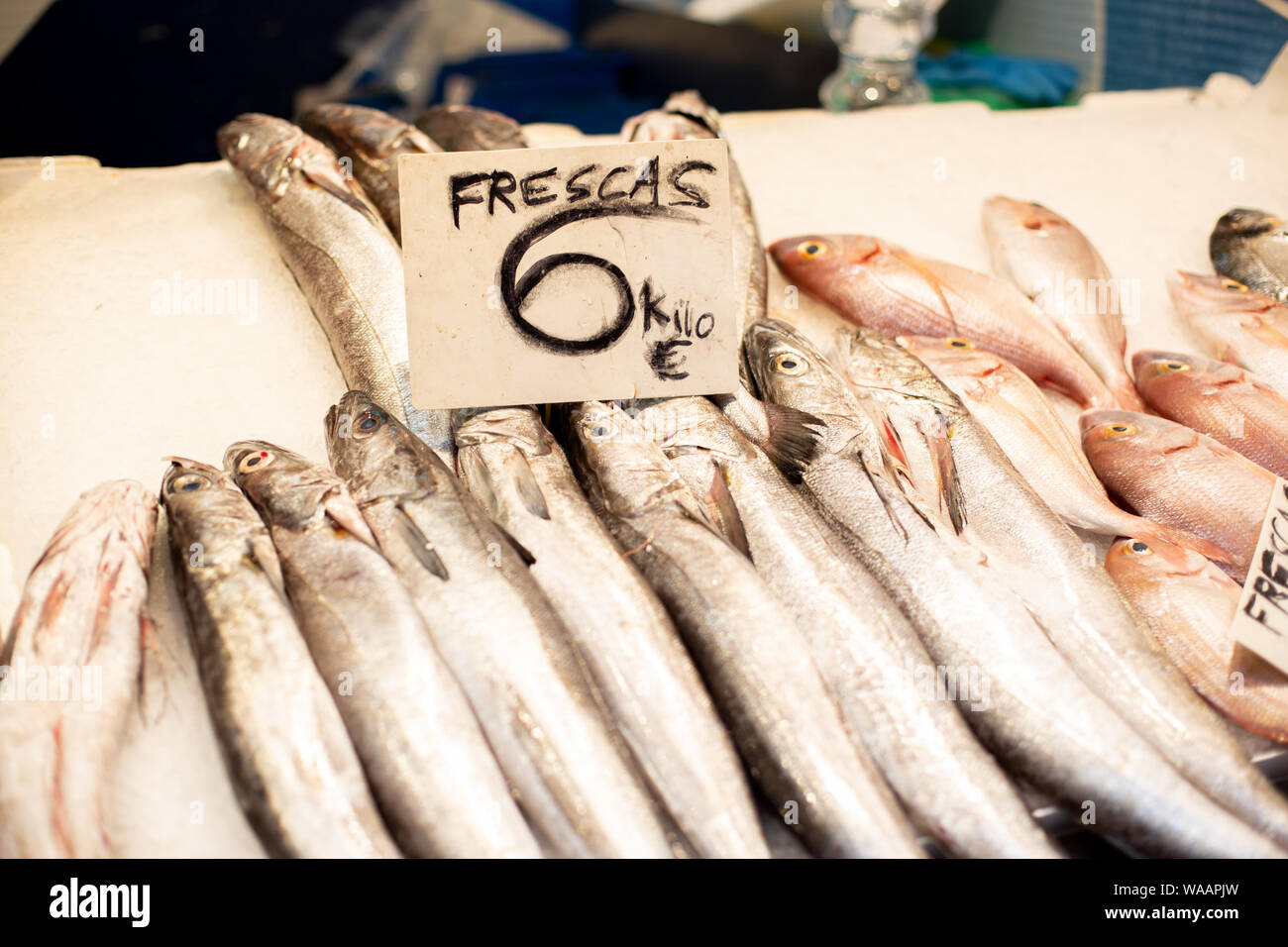 Fish at Atarazanas Market in Malaga, Spain Stock Photo