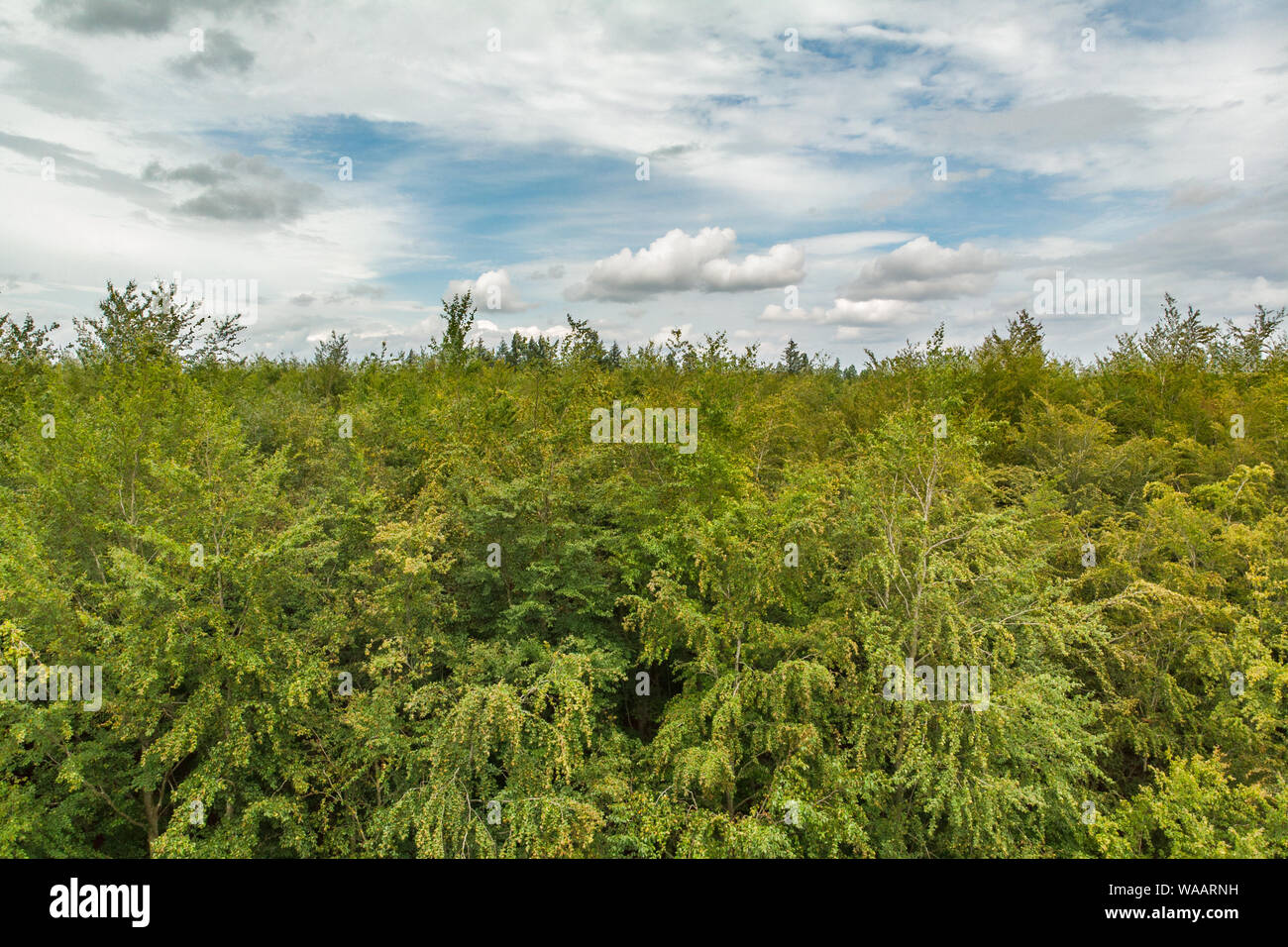 Aerial view from above green hi-res stock photography and images - Alamy