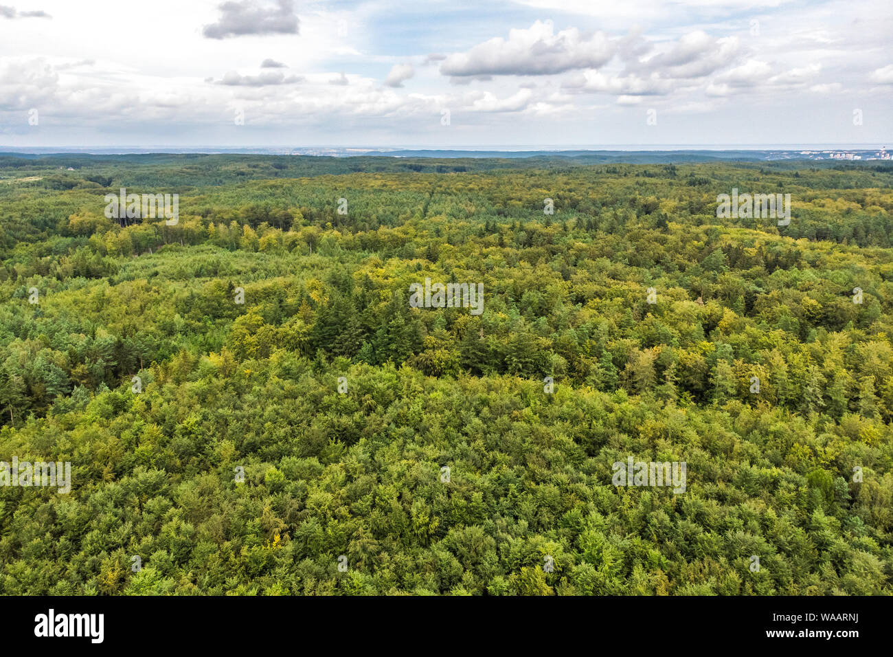 Aerial above view spring forest hi-res stock photography and images - Alamy