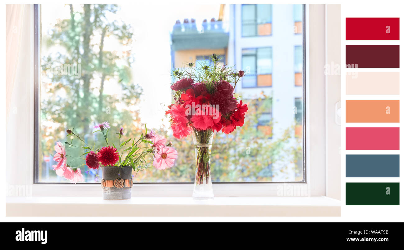 Autumn window. Autumn bouquets of flowers, cosmea, asters, geranium in fall winter 2019 2020 colors on the windowsill Stock Photo