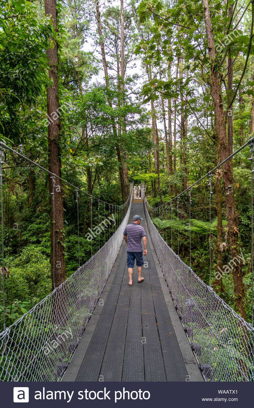 People crossing the hanging bridge in the grounds of the Arenal  Observatory, Costa Rica Stock Photo - Alamy