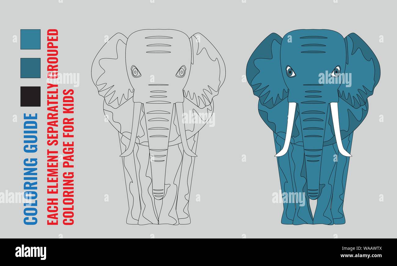 Cartoon and line art style elephant front view. Kids Learning Game
