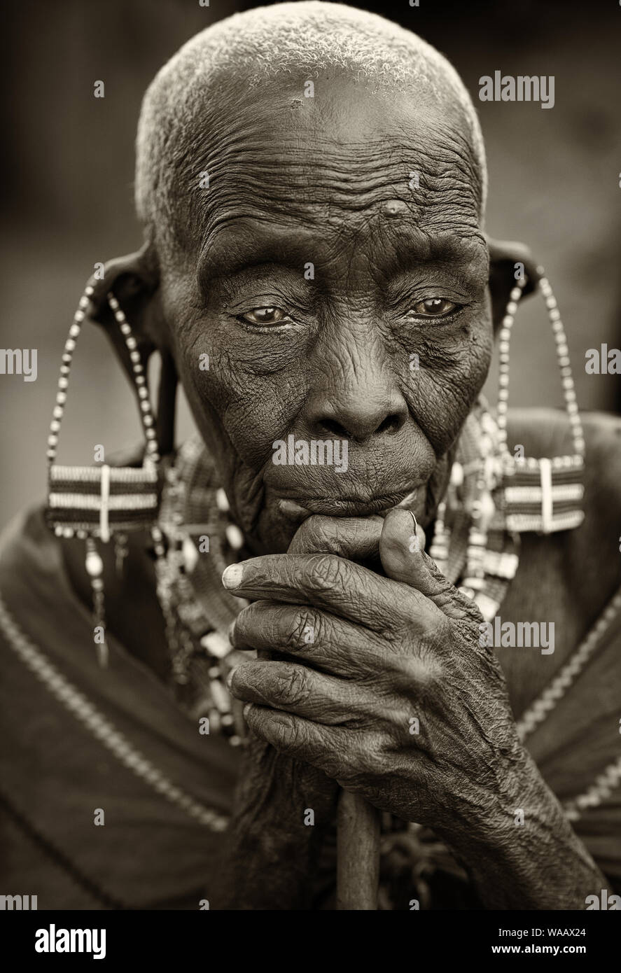 Old Maasai woman with traditional earrings poses for a portrait in Loitoktok, Kenya. Stock Photo
