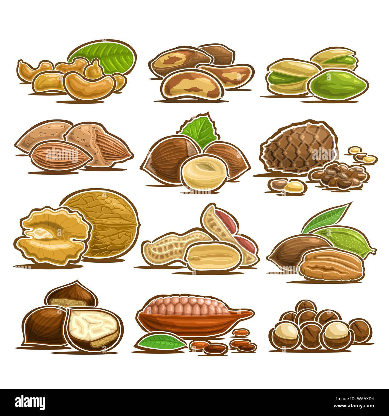 Vector set of Nuts, 12 cut out assorted heap of abstract hazel fruits for healthy nutrition, collection of isolated various piles of nut kernels in nu Stock Vector