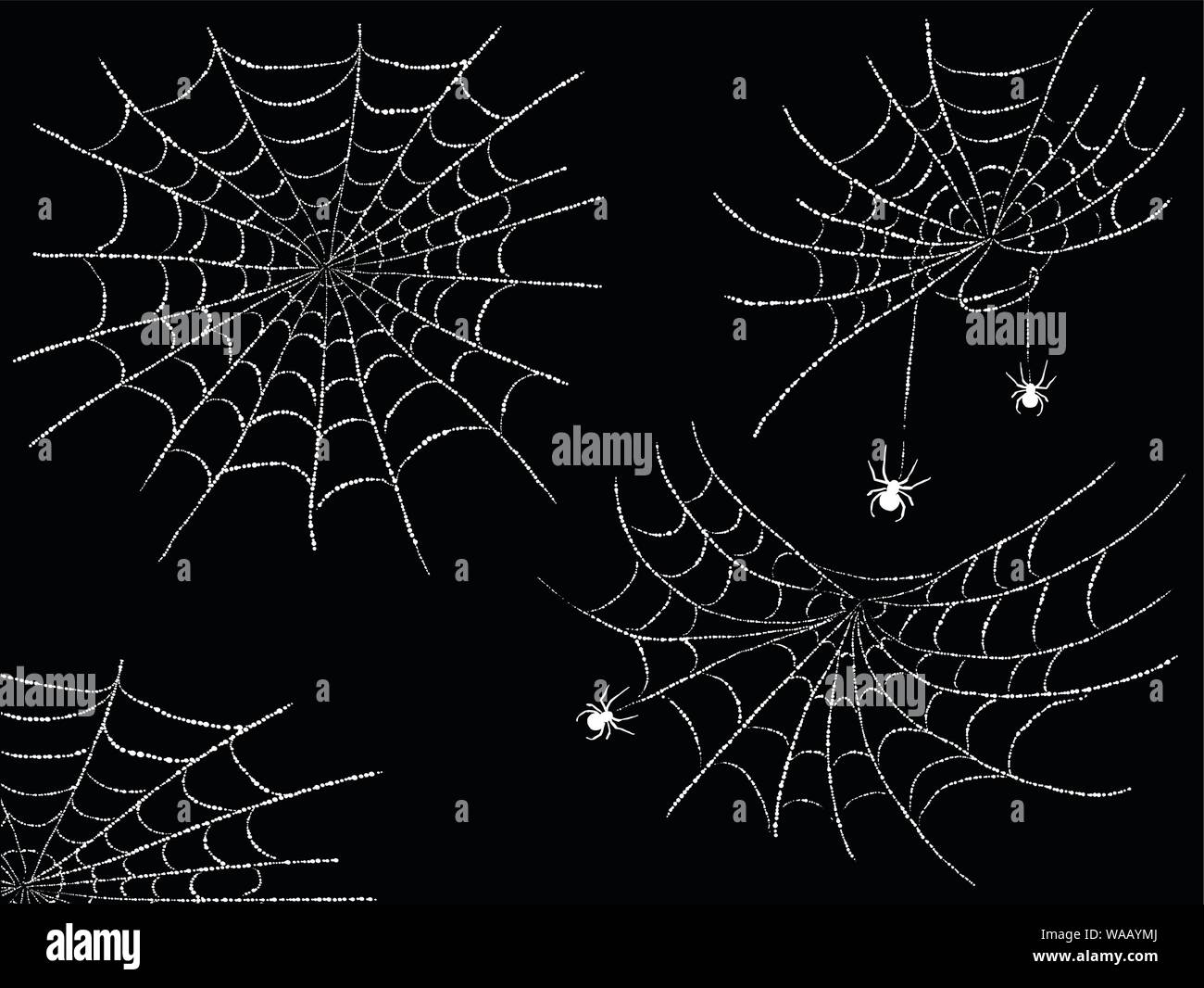 Halloween cobweb and spiders isolated on black for spiderweb scary design Stock Vector