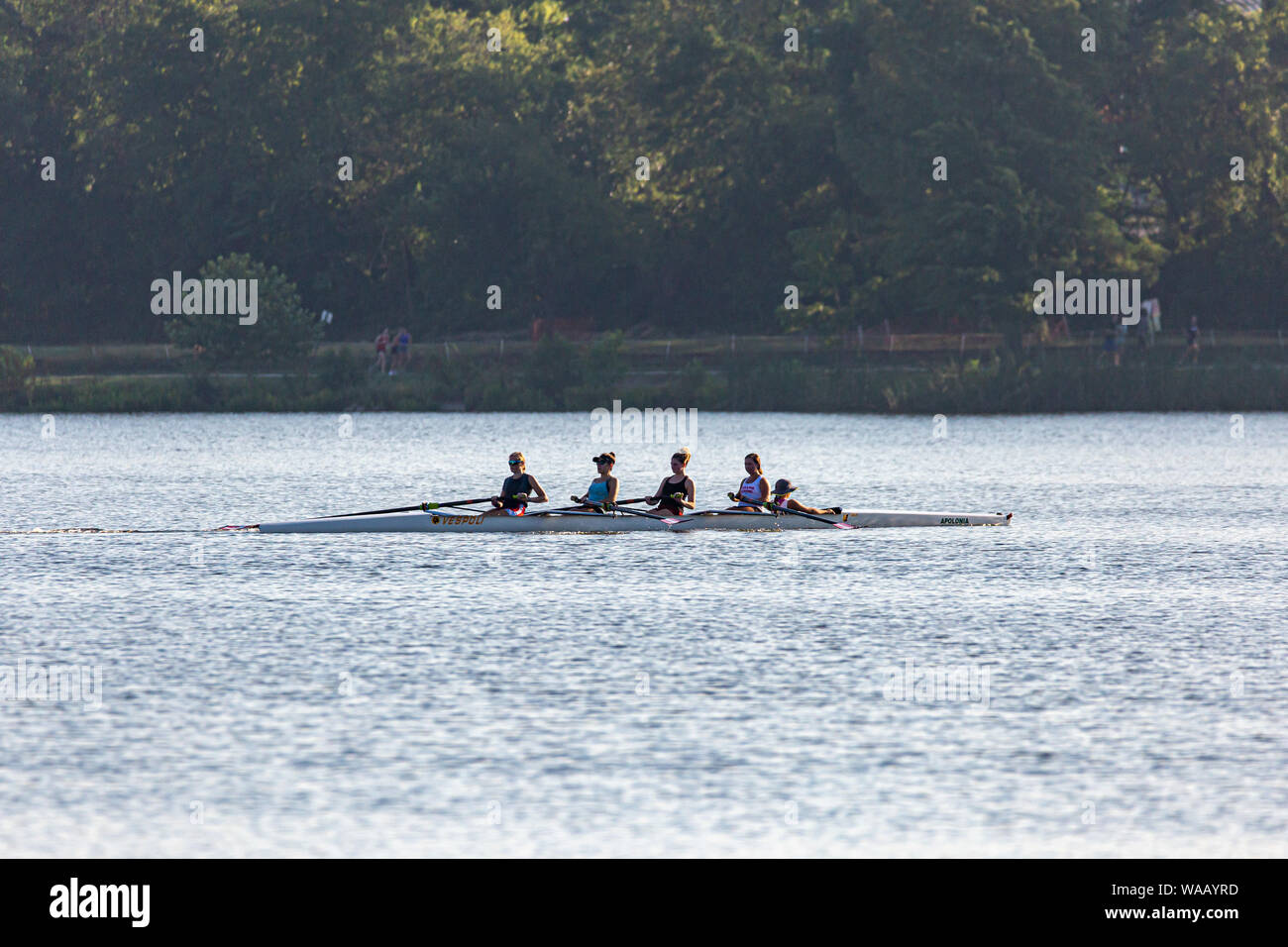 4 rowers and coxswain on White Rock Lake in Dallas, Texas Stock Photo