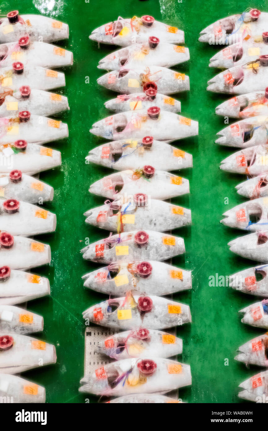Japan, Honshu, Tokyo, Toyosu Fish Market, View of The Early Morning