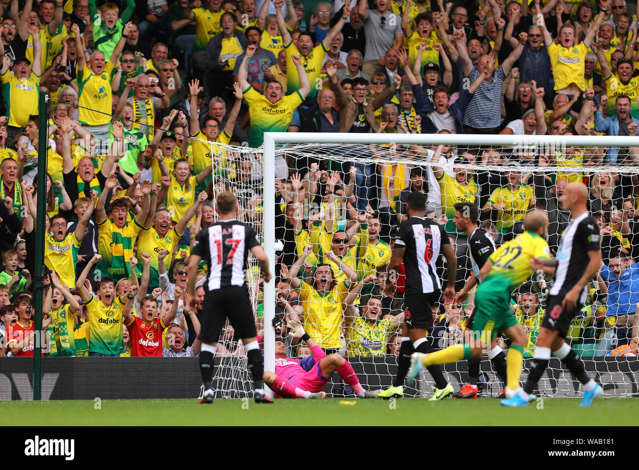Norwich City fan celebrate wildly as Teemu Pukki of Norwich City volleys in the opening goal - Norwich City v Newcastle United, Premier League, Carrow Road, Norwich, UK - 17th August 2019  Editorial Use Only - DataCo restrictions apply Stock Photo