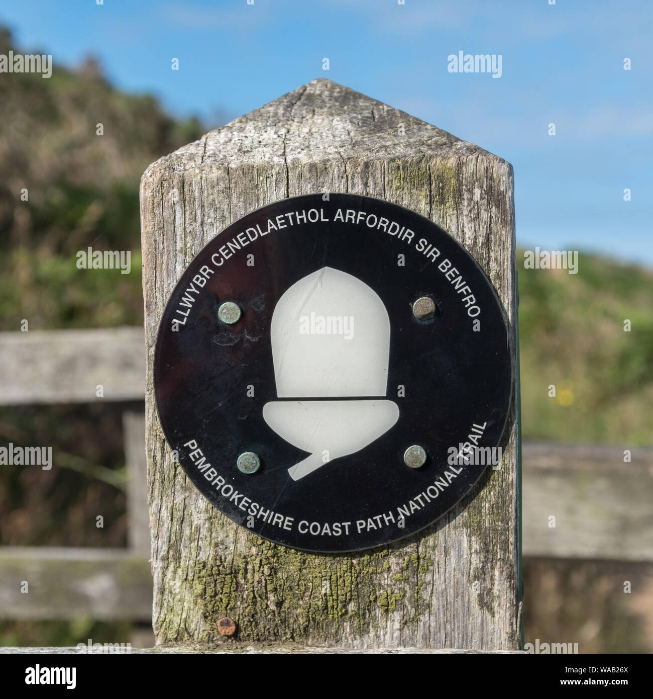 The official acorn symbol for national hiking trails in England and Wales. This is one on the Pembrokeshire Coast Path National Trail in Wales. Stock Photo