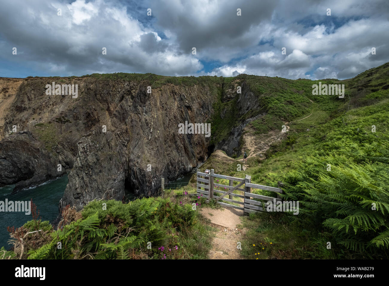 Coastal views, cliffs, luscious green ferns and a wooden gate on the Pembrokeshire Coast Path, Wales Stock Photo