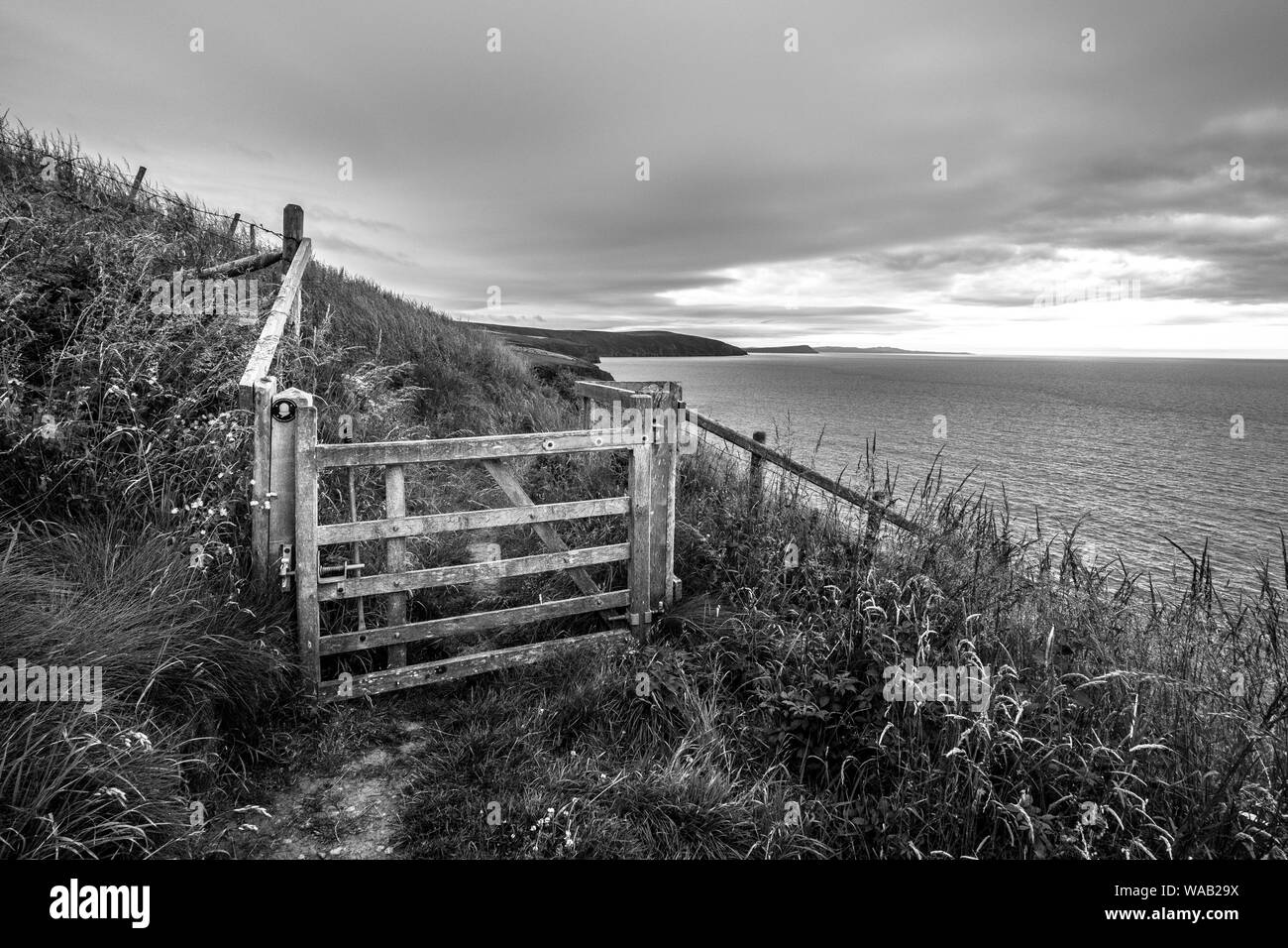 A black and white landscape photo of a gate on the stunning Pembrokeshire Coast Path, Wales Stock Photo