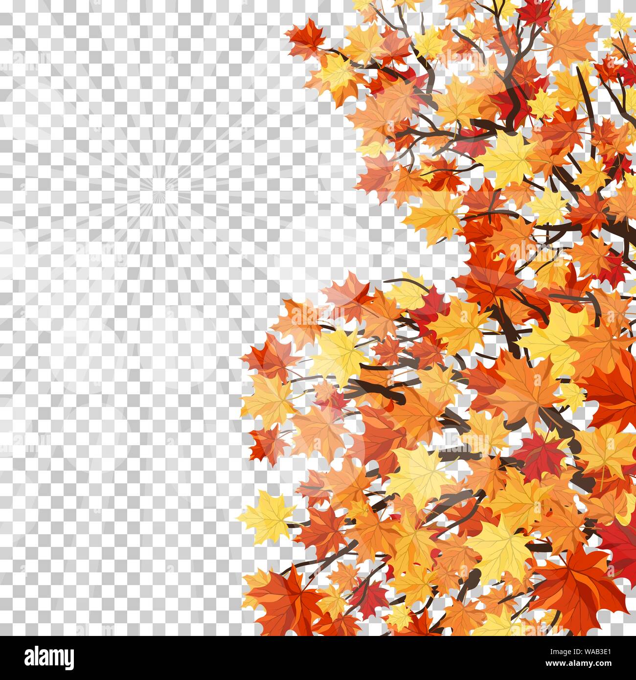 Fall Autumn Theme With Maple Leaves Transparency Grid Background Design Vector Illustration Stock Vector Image Art Alamy