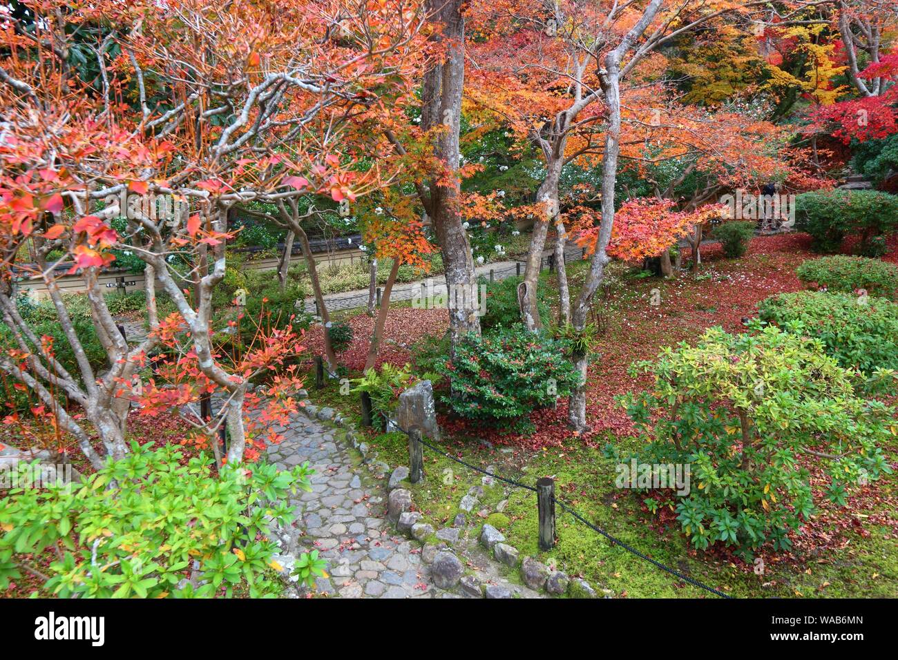Autumn colors of Japanese garden in Nara - red momiji leaves (maple tree) in a Japanese tea garden of Yoshikien. Stock Photo