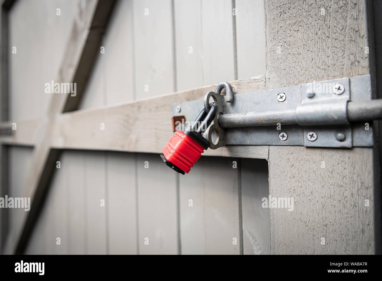 A red padlock securing a bolt on a grey garden gate. Stock Photo