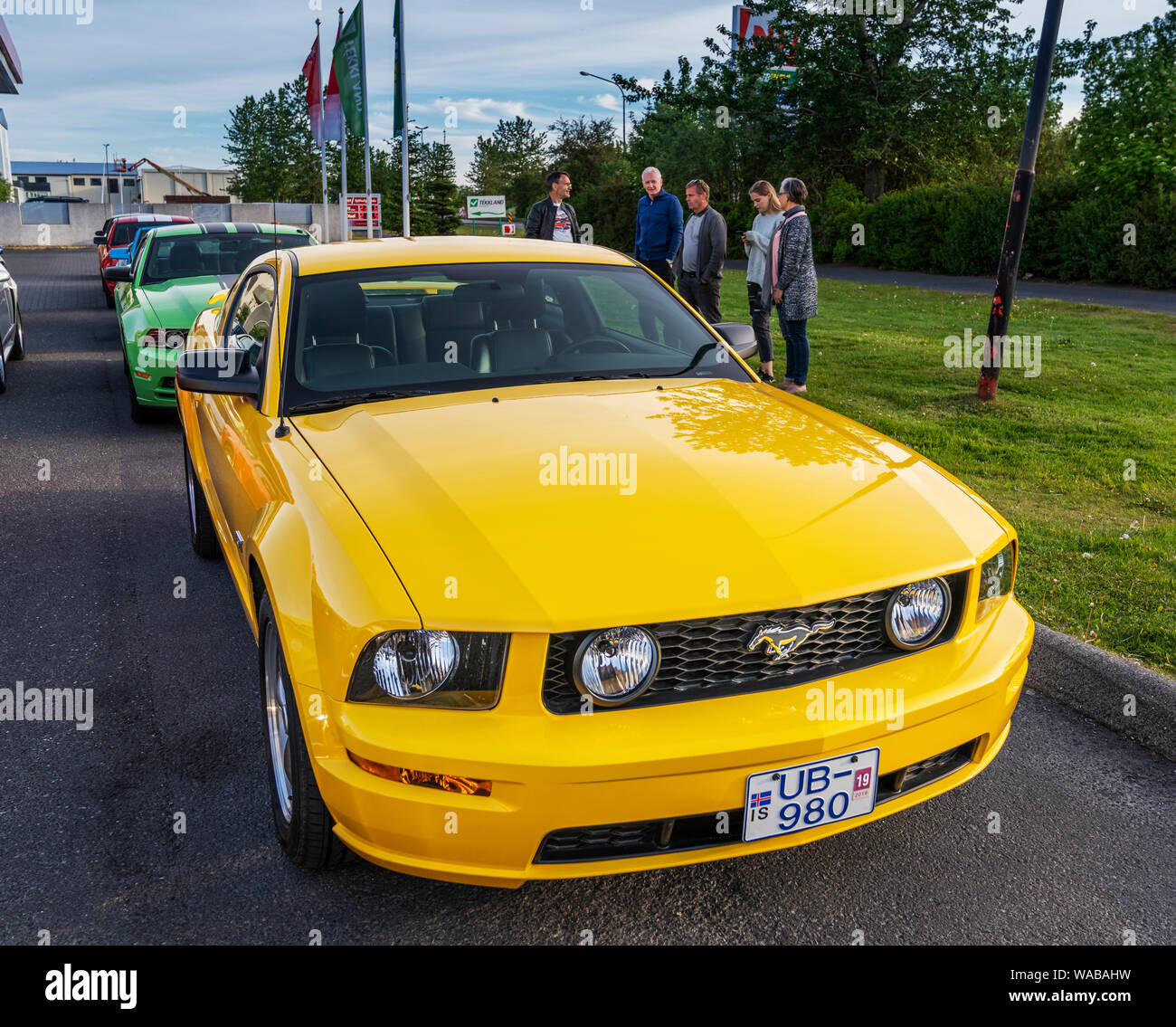 Mustang on display, Independence Day, Reykjavik, Iceland Stock Photo
