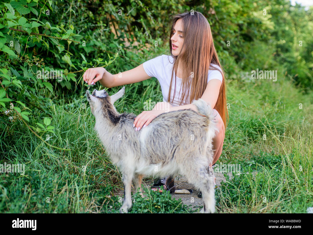 Animals are our friends. happy girl love goat. village weekend. summer day.  Love and protect animals. contact zoo. veterinarian lamb goat. woman vet  feeding goat. farm and farming concept Stock Photo -