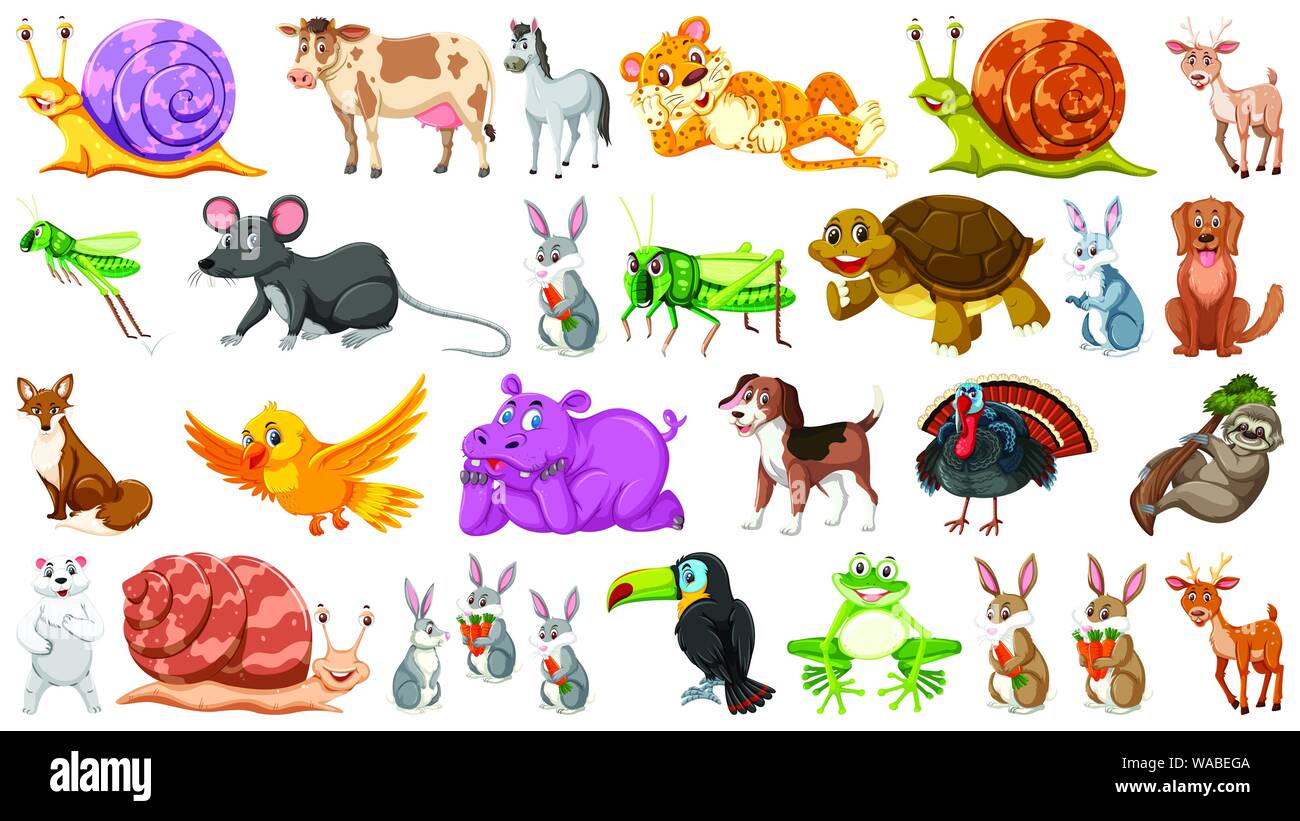 Set of isolated wild animals illustration Stock Vector Image & Art - Alamy