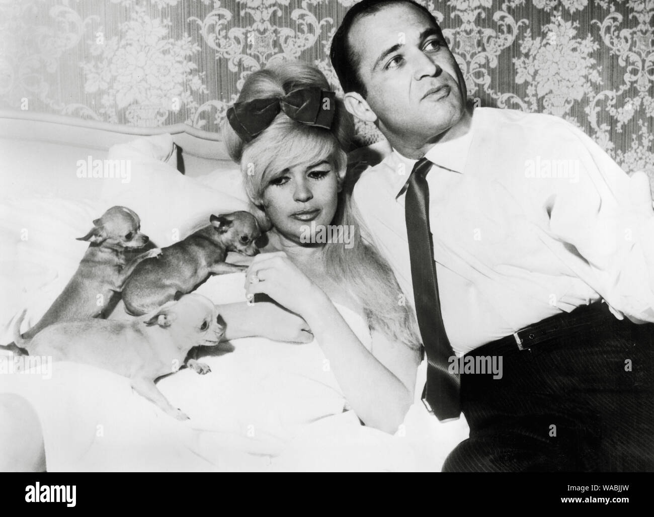 Jayne mansfield 1967 sam brody hi-res stock photography and images - Alamy