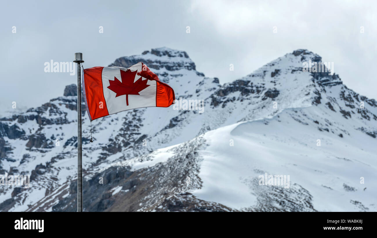 Canadian Rockies - A Canadian National Flag flying at front of two snow-covered peaks at Columbia Icefield Discovery Centre, Jasper National Park. Stock Photo
