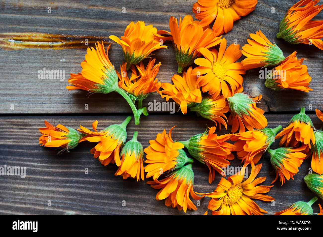 Calendula flowers laid out on a wooden background. Calendula ...