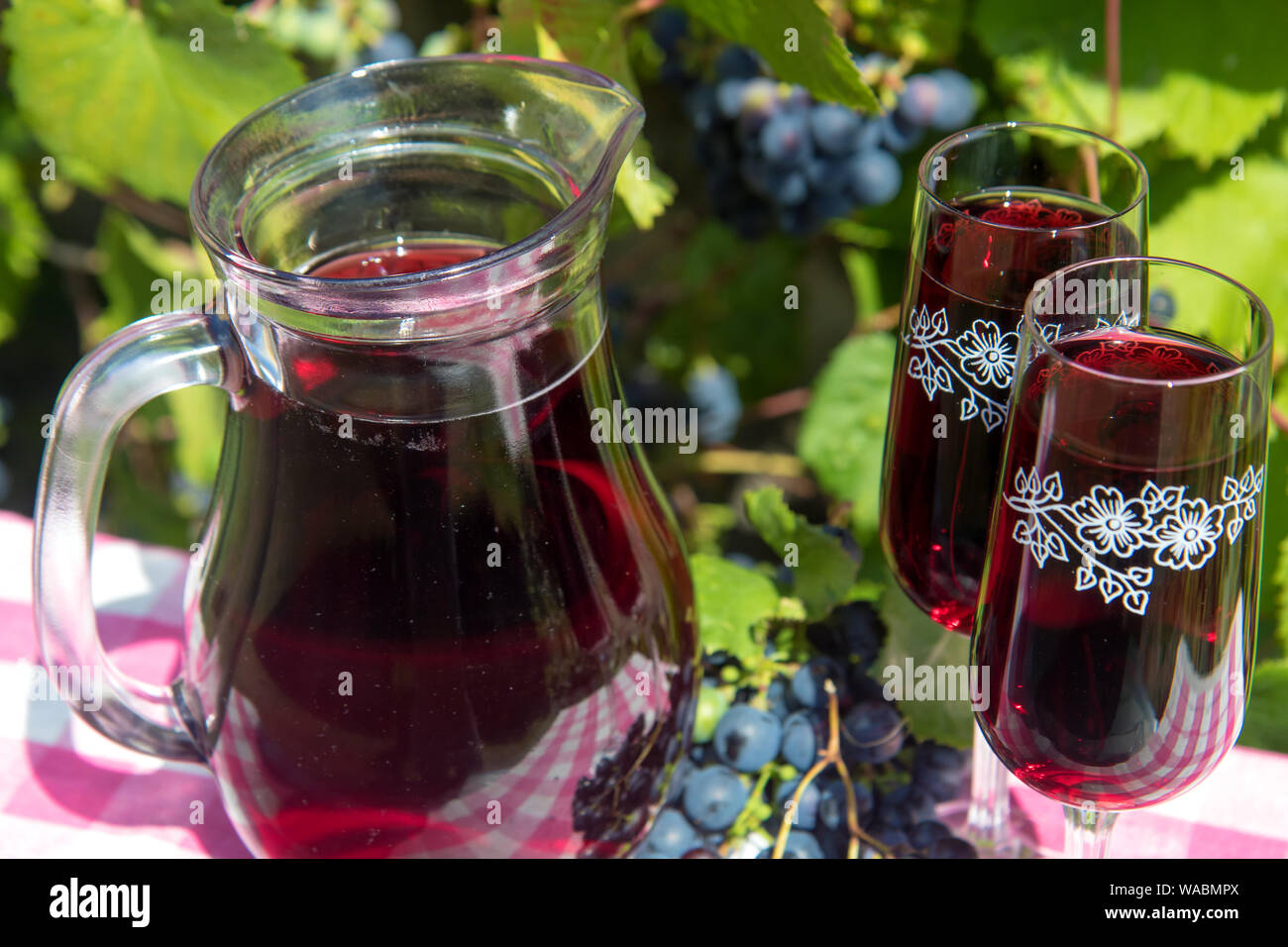 Glass jug with red wine and wine glass on the table. Wine in a carafe with ripe grapes of a vineyard on background. Stock Photo