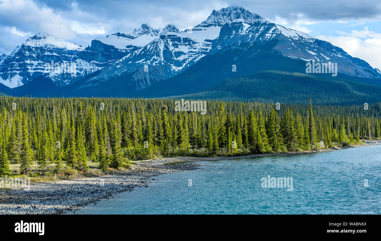 Saskatchewan River Valley - Spring evening view of snow-capped Mt. Sarbach and Epaulette Mountain at North Saskatchewan River, Banff National Park. Stock Photo