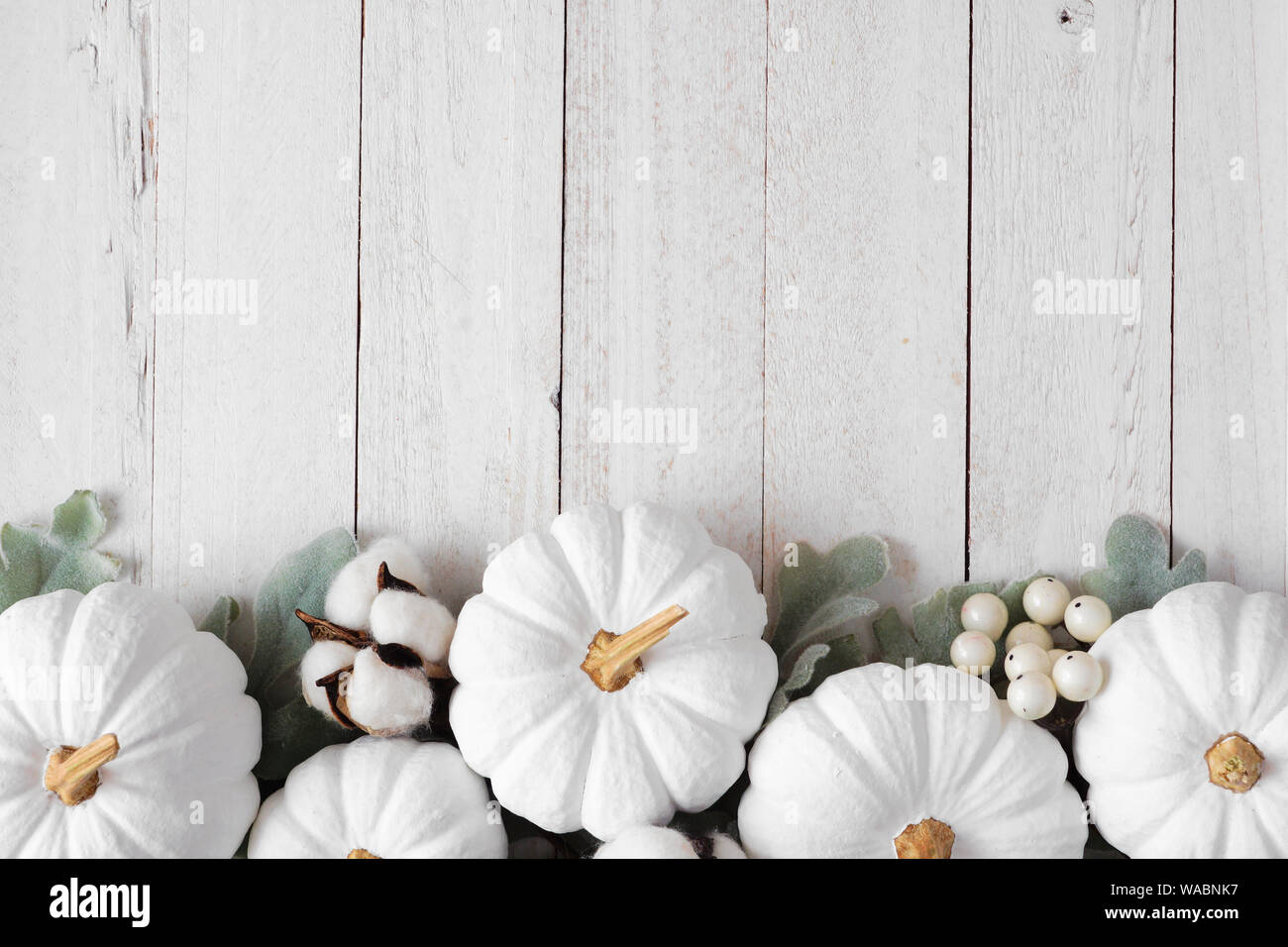 White Pumpkin Images  Free Download on Freepik