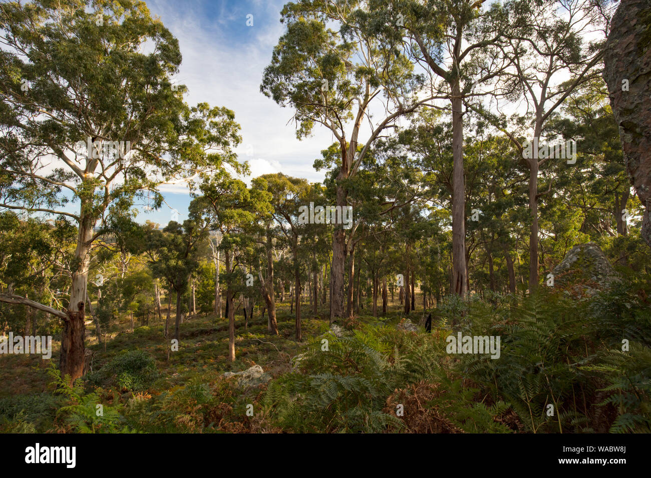 Macedonian Ranges The popular tourist attraction of Hanging Rock. A volcanic group of ...