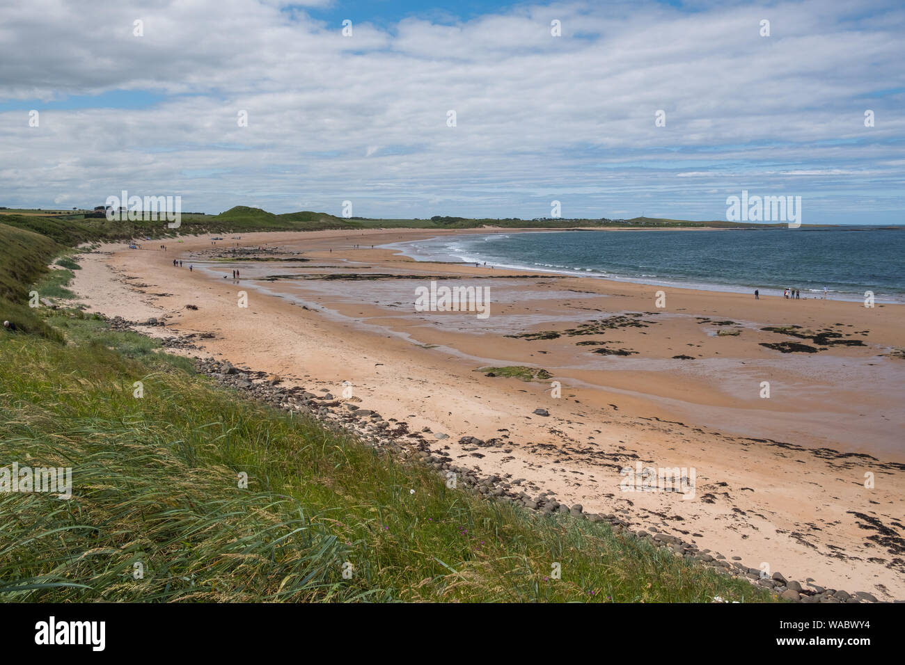 Sandy Northumberland coastline near Dunstanburgh Castle, Alnwick, Northumberland, UK Stock Photo