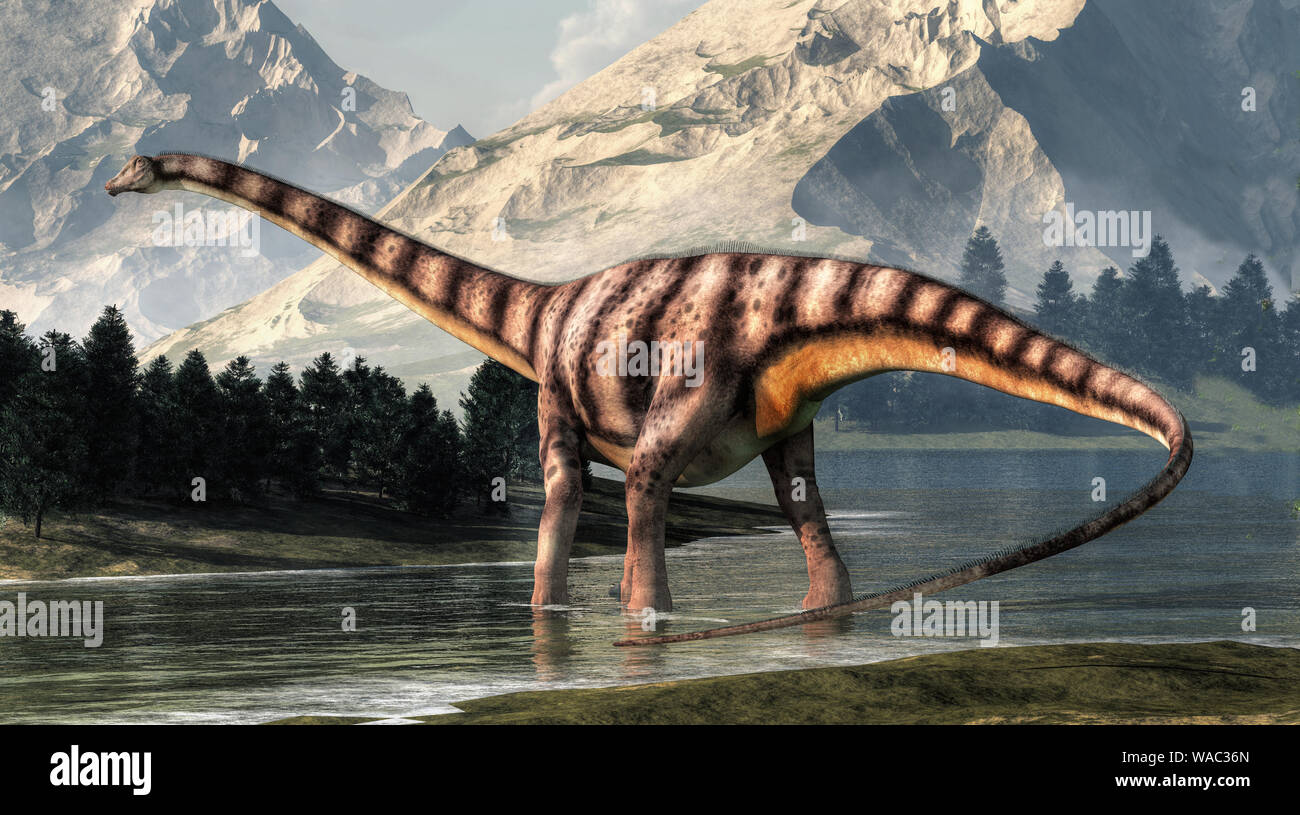 Diplodocus 3D Dinosaur