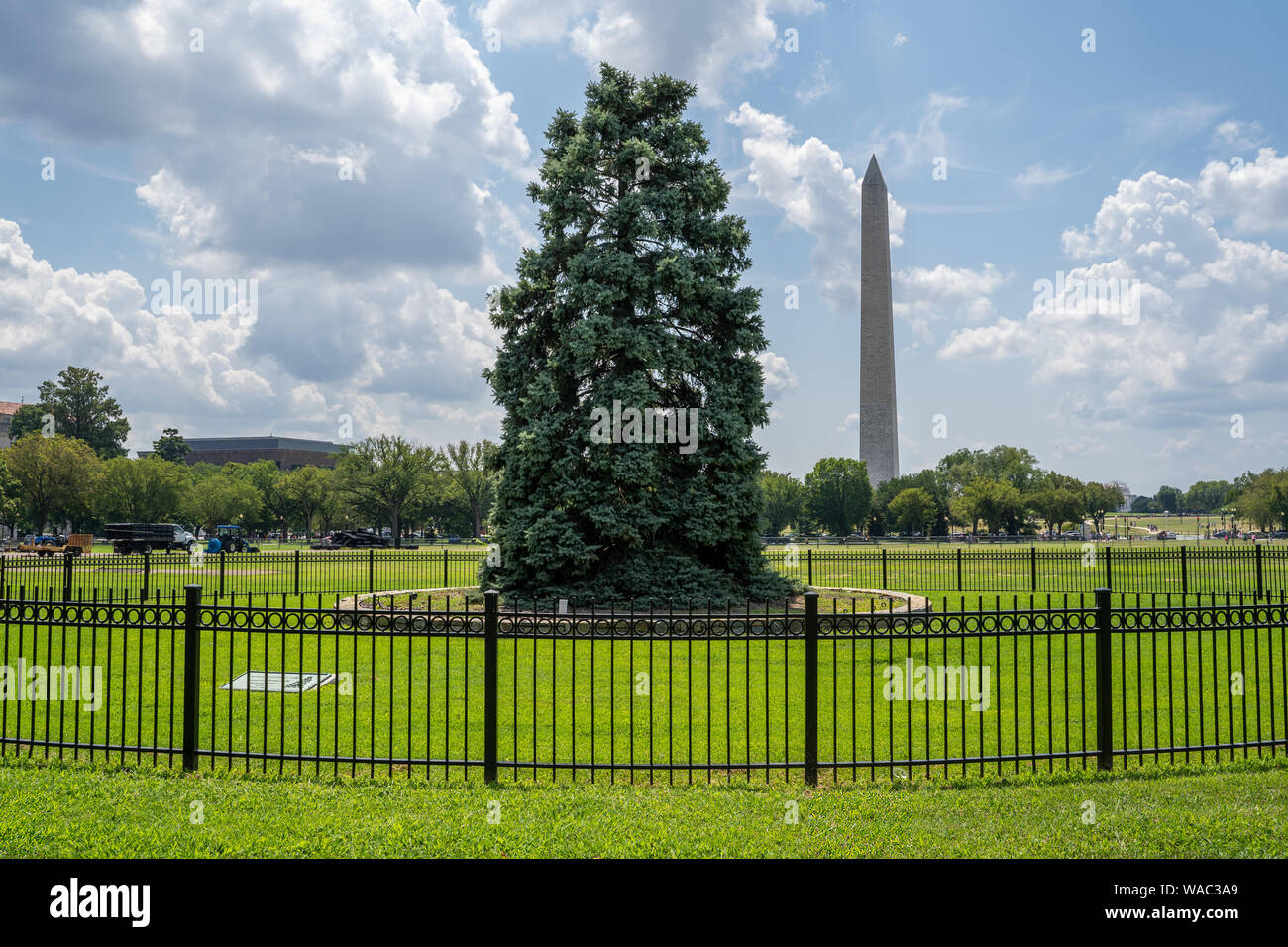 The National Christmas Tree in Presidents Park in the Ellipse area of