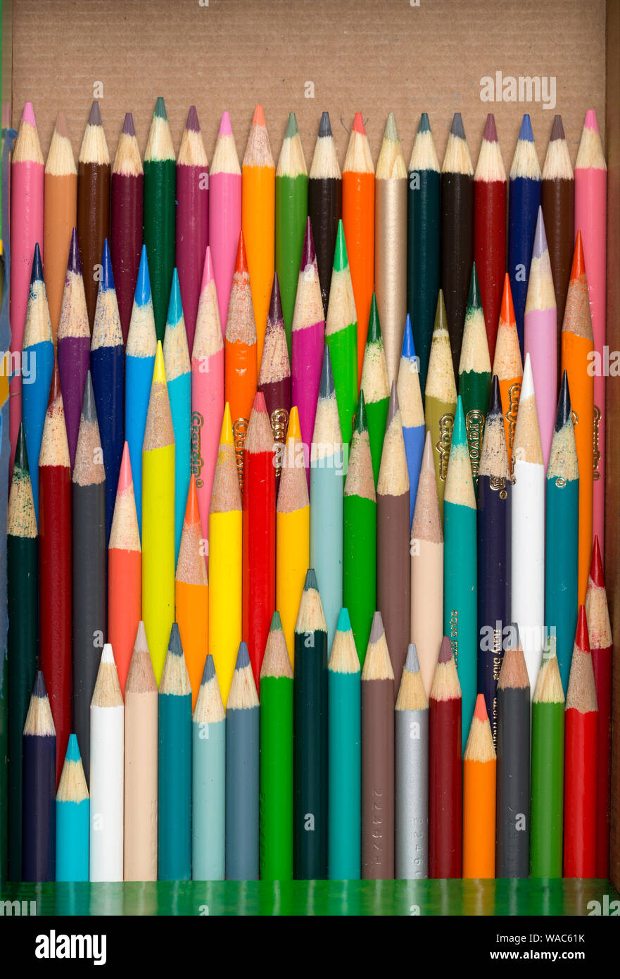 A box of used color pencils at various lengths Stock Photo