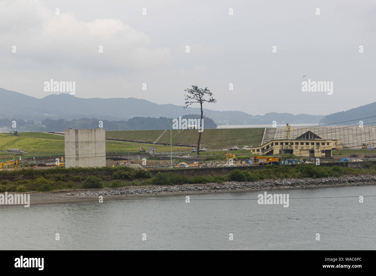 Rikuzentakata, Japan. 19th Aug, 2019. The miracle pine tree, survivor of the 2011 Tsunami is seen at Takata-Matsubara Memorial Park for Tsunami Disaster which is under construction. The memorial park is constructed by the Government of Japan and the government of Iwate Prefecture to remember the victims of the 2011 Earthquake, and as a symbol of strong will for reconstruction. The park will open its new Great East Japan Tsunami Museum on September 22, 2019, and its full services at the beginning of 2021. The ''Tohoku Media Tour: Iwate Course'' is organized by the Tokyo Metropolitan Government Stock Photo