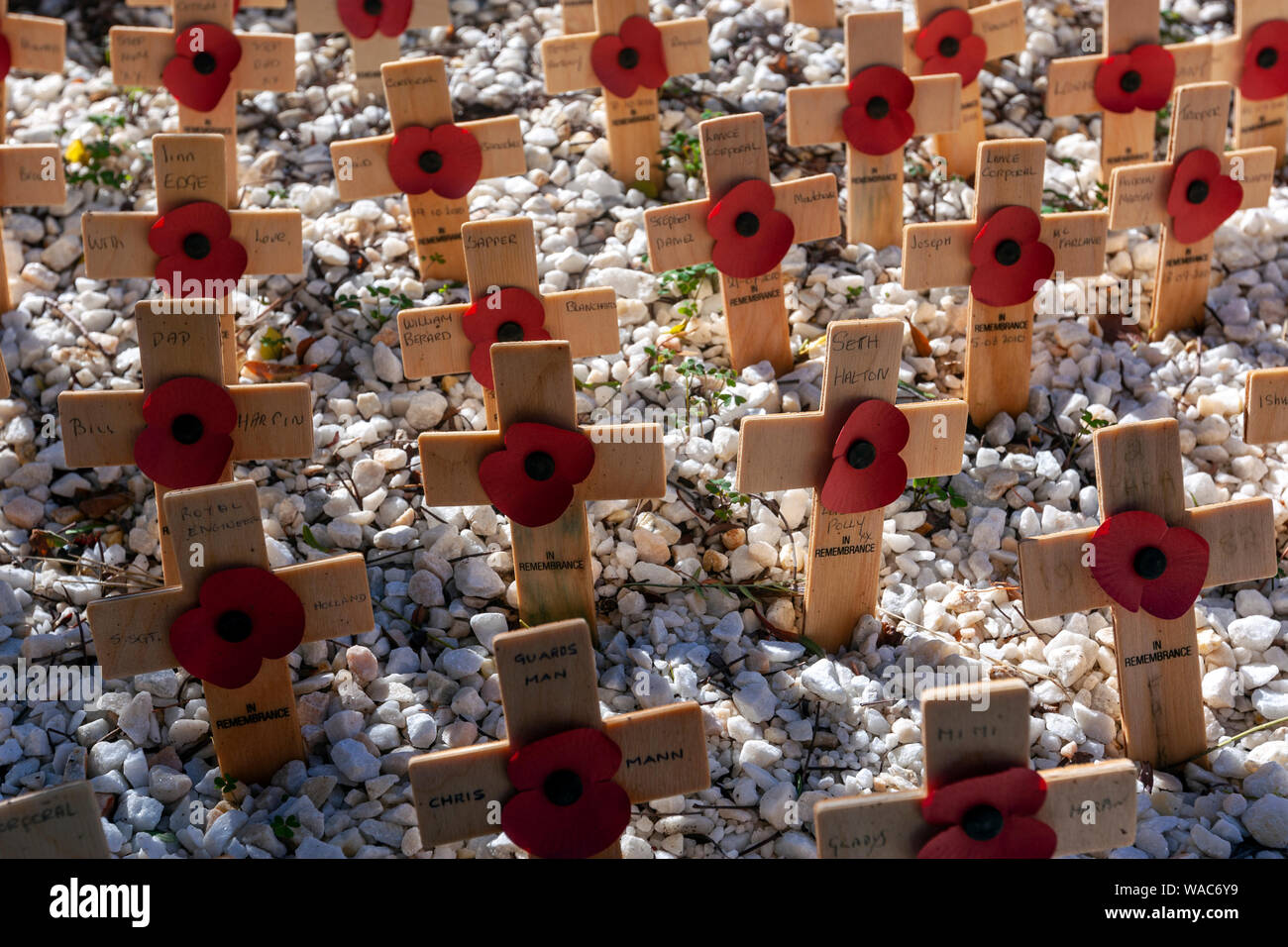 Remembrance paper poppy in wooden cross in English Cemetery, Malaga, Andalucia, Spain Stock Photo
