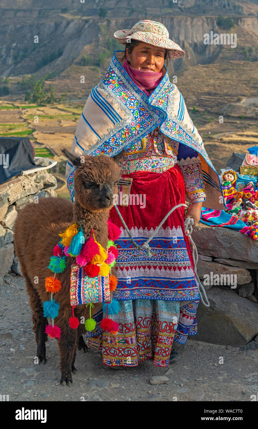 Indigenous woman with baby alpaca in traditional clothing next to her handicraft stall by the Colca Canyon near the city of Arequipa, Peru. Stock Photo