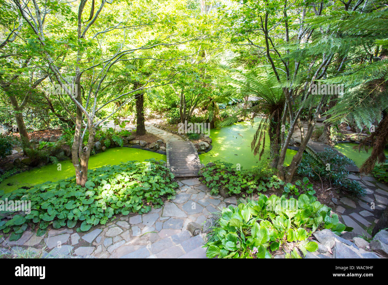 Alfred Nicholas Memorial Gardens Stock Photo Alamy