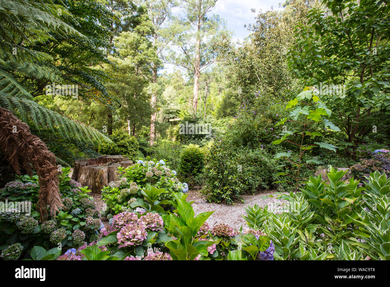 Alfred Nicholas Memorial Gardens Stock Photo Alamy