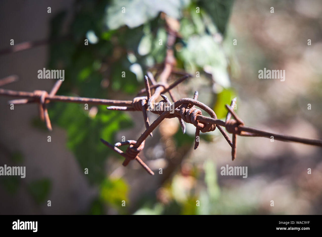 Barbed wire tied to a pole, close-up Stock Photo