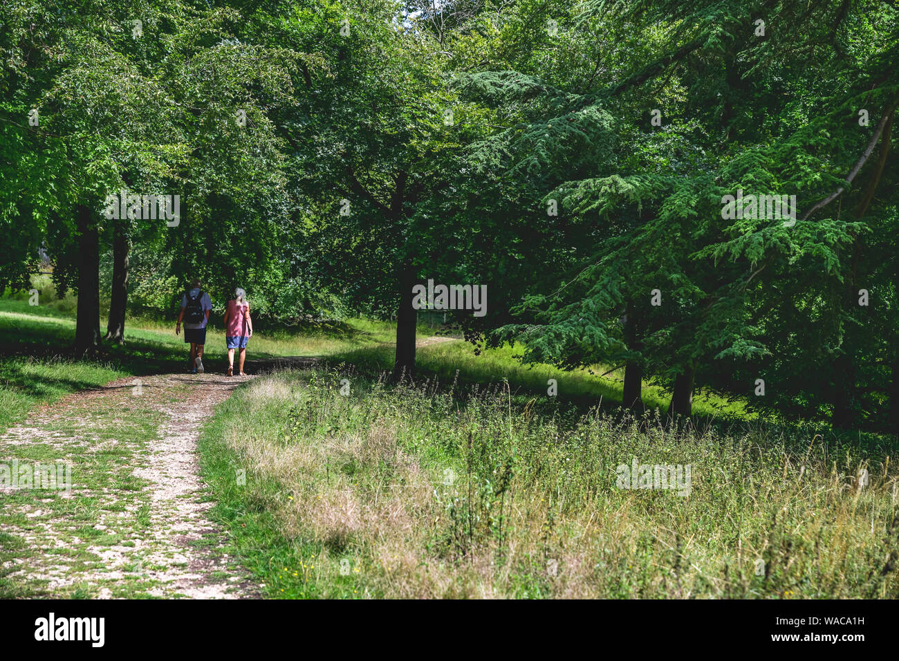 Blenheim Palace. Tourists and visitors enjoying the palace park and ...