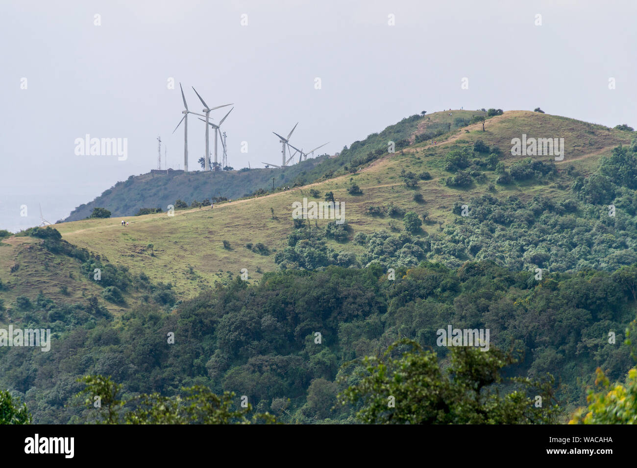 Ngong Hills Nature Reserve with hiking trails and wind power plant turbines in background, Kenya Stock Photo