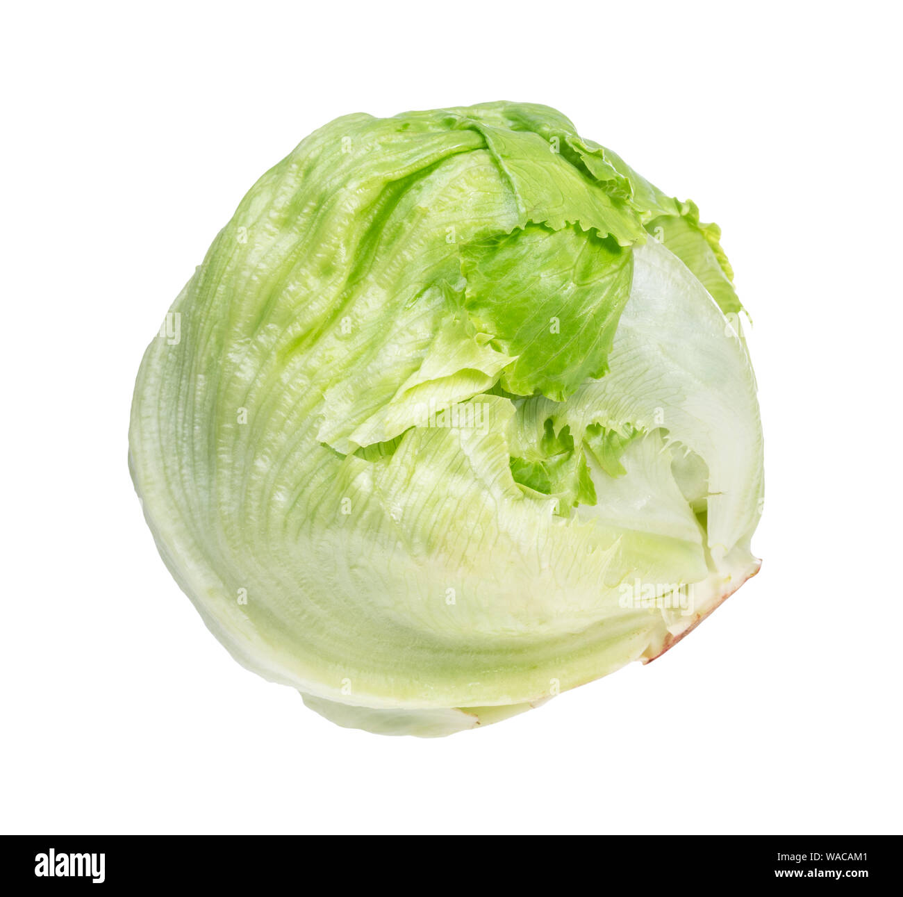 iceberg lettuce, head lettuce cutout on white background Stock Photo