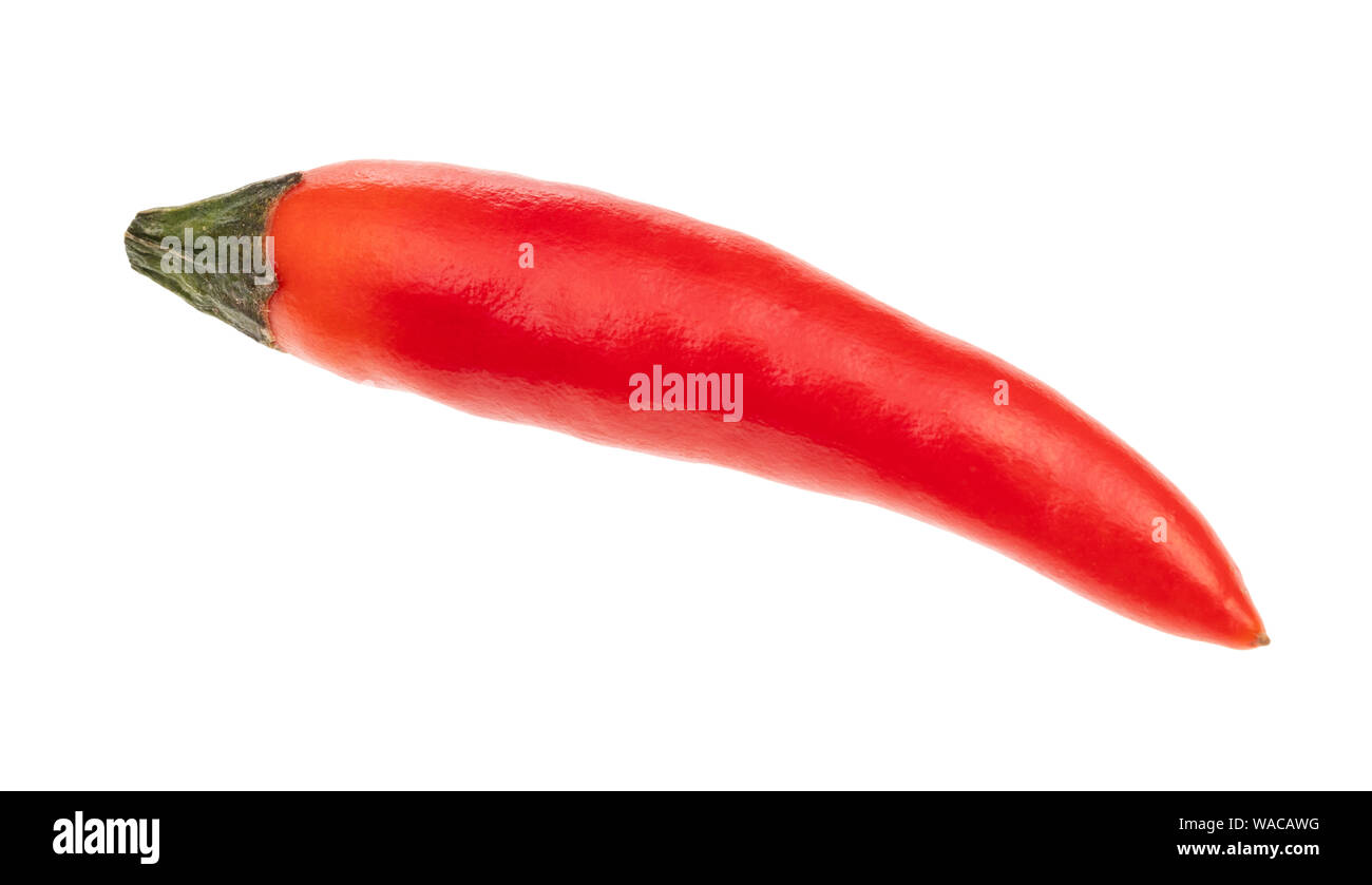 one red chili pepper cutout on white background Stock Photo
