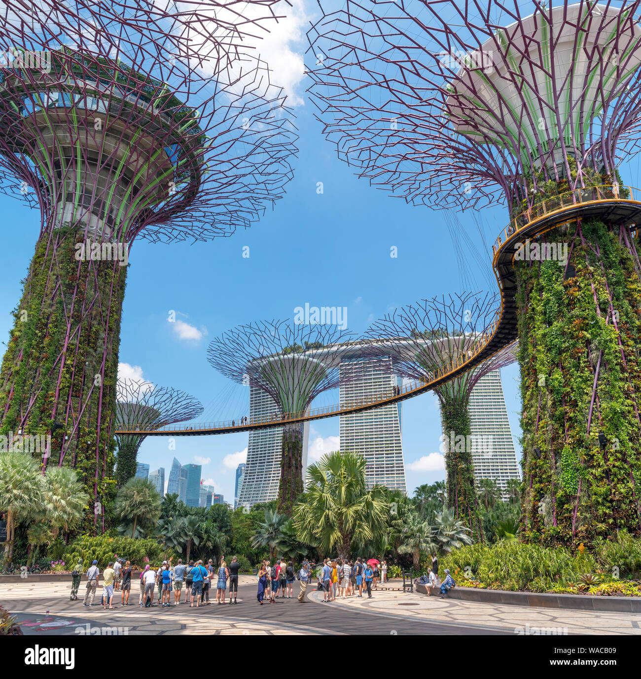 Supertree Grove at Gardens by the Bay with Marina Bay Sands behind, Singapore City, Singapore Stock Photo