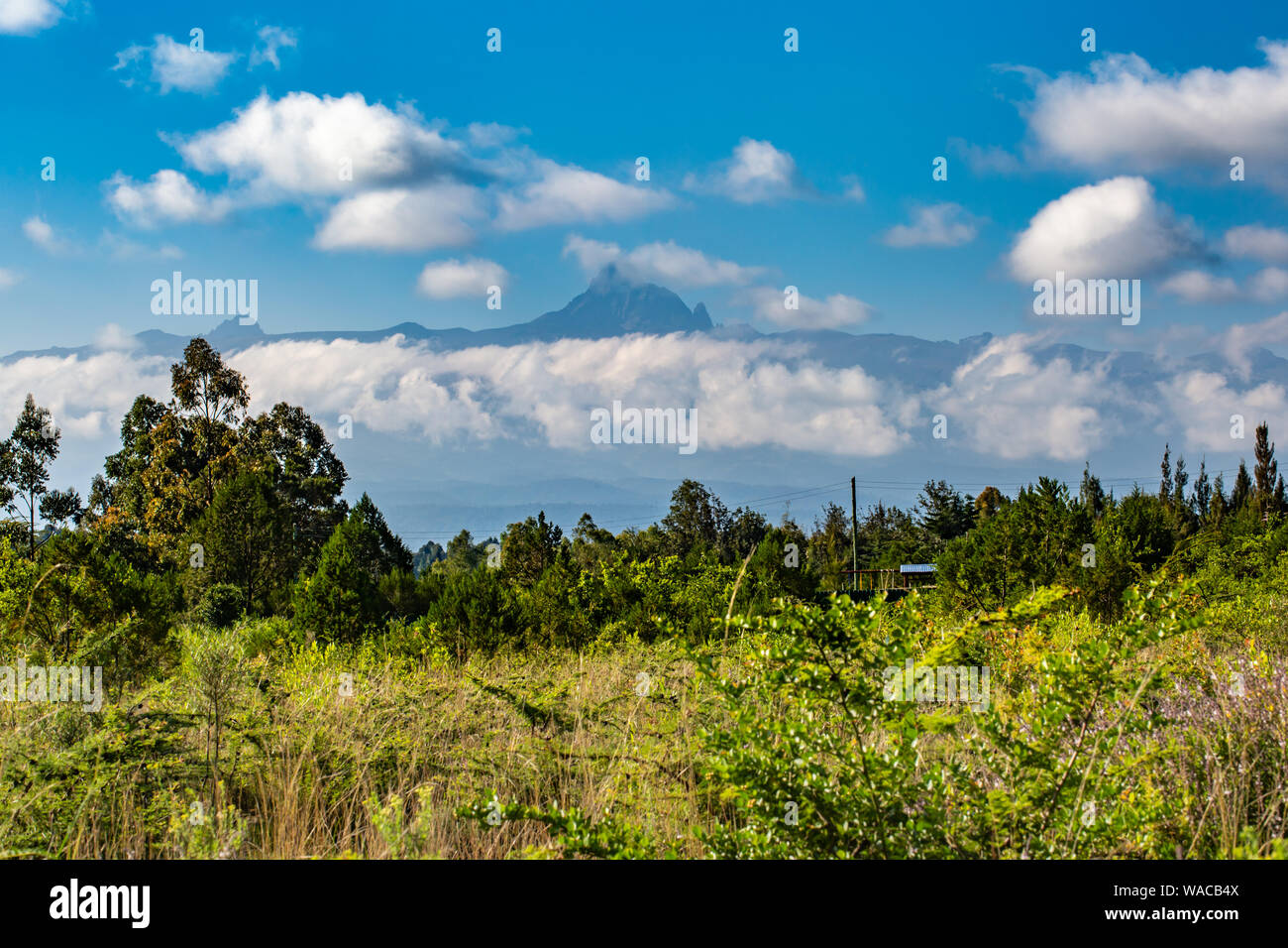 Colour landscape photograph of vast wild Kenyan landscape with Mount
