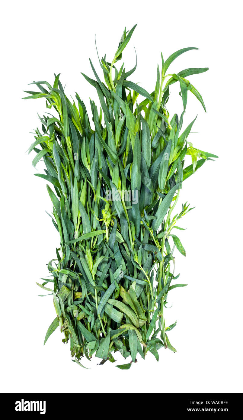 Estragon garden hi-res stock photography and images - Page 2 - Alamy